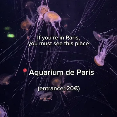 Home to over 10,000 fish, including sharks. It features educational exhibits, touch tanks, and live shows, making it ideal for families.