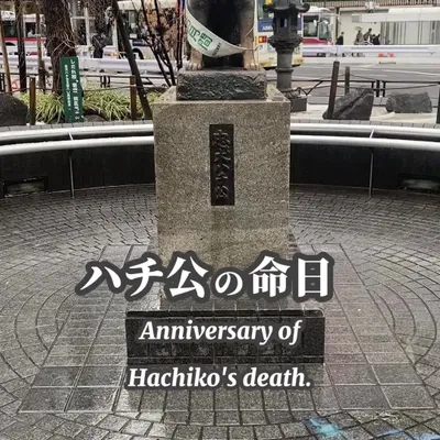 The Hachiko Statue commemorates the unwavering loyalty of Hachiko, a dog who waited daily at Shibuya Station for his owner, even after his passing. Erected in 1934, the statue has become an iconic symbol of loyalty and a popular meeting point in the bustling Shibuya district.
