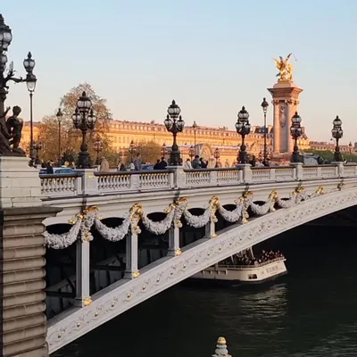 This ornate bridge offers panoramic views of the Eiffel Tower and the Seine. It’s a picturesque spot for photography and romantic strolls.