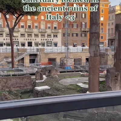 The site where Julius Caesar was assassinated, now home to a cat sanctuary. A fun mix of history and adorable felines.