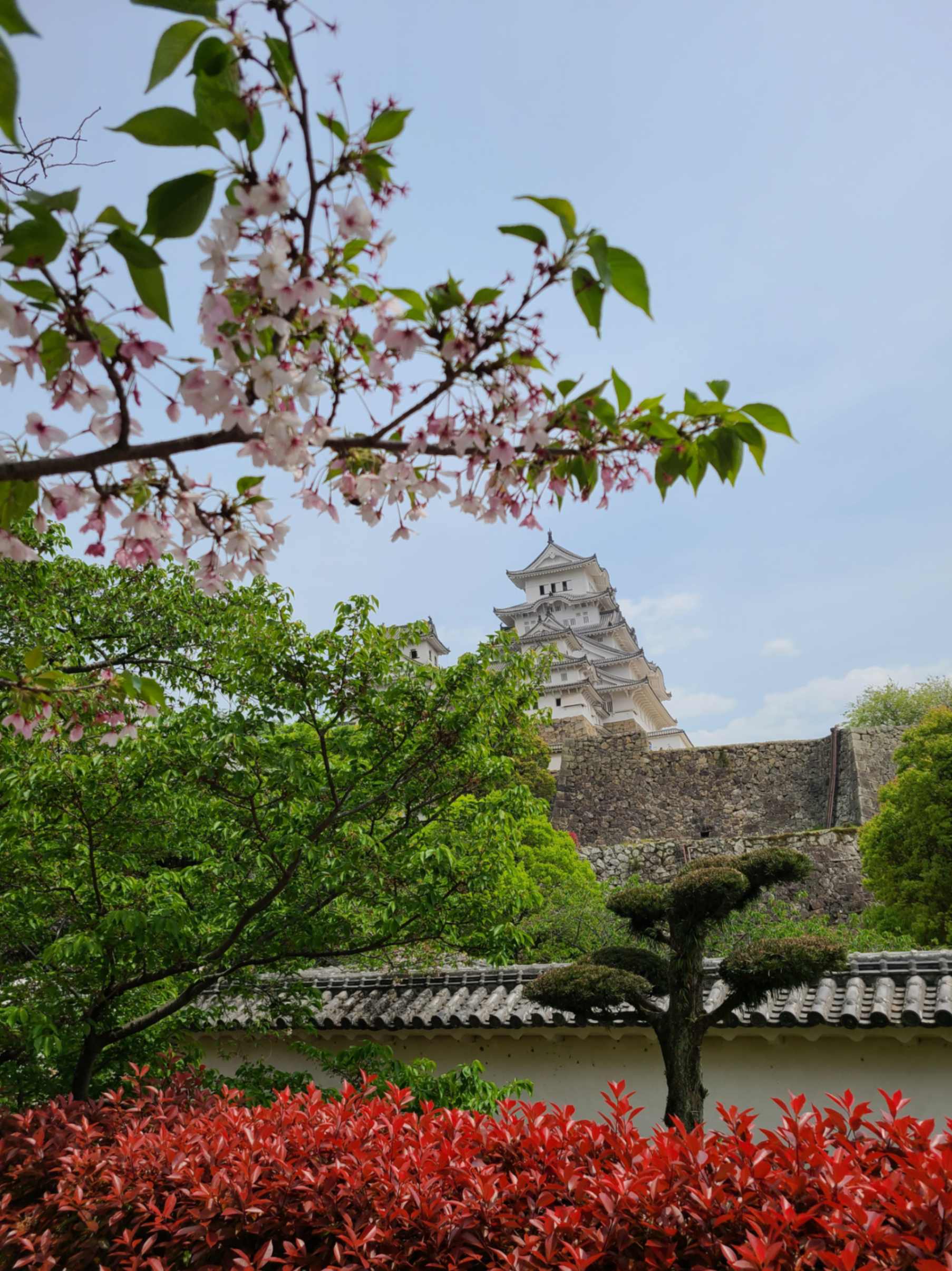 The VizualTravel Team's Japan 2025 Trip