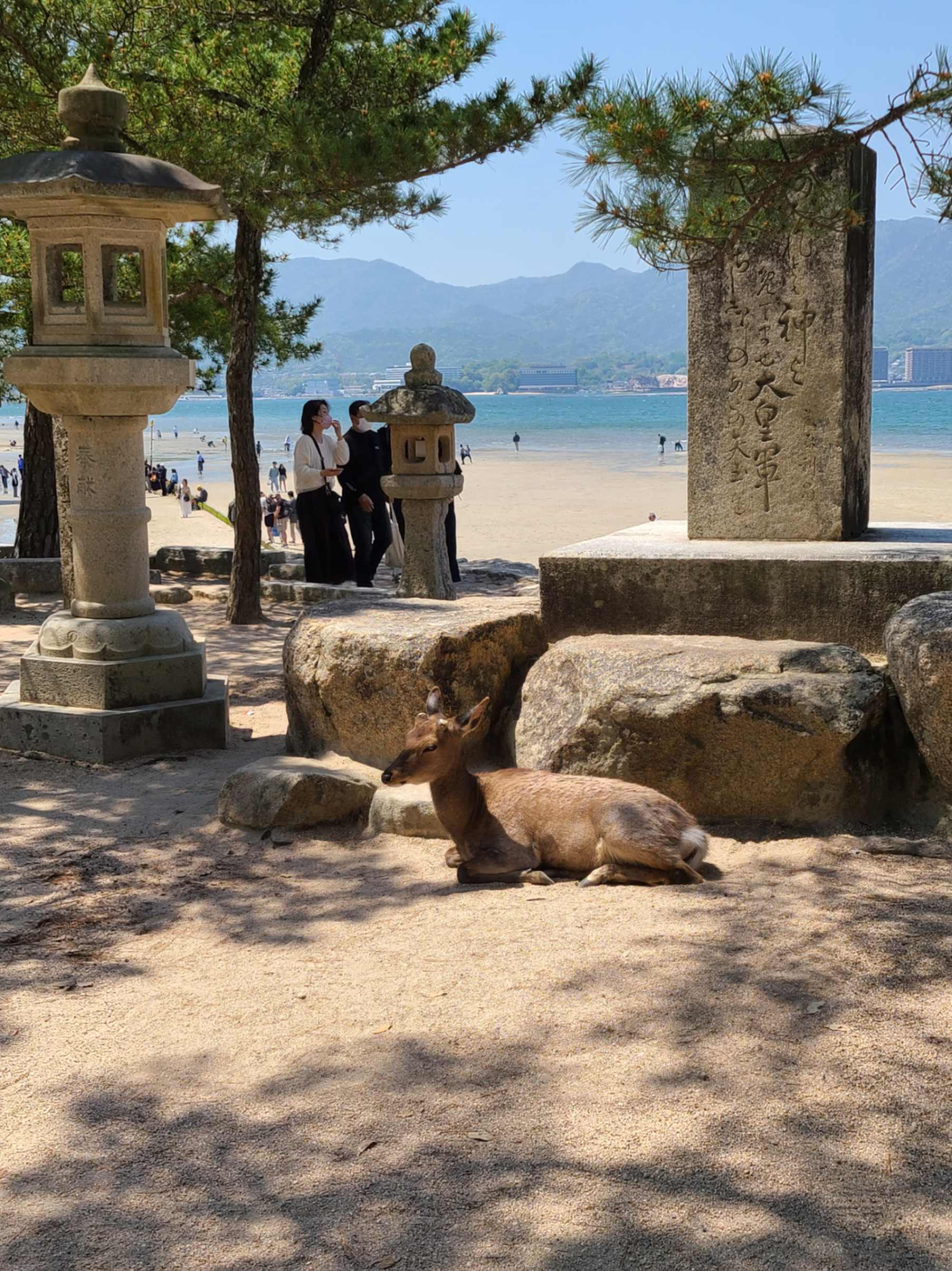 All Around Hiroshima: Himeji, Kurashiki & Miyajima