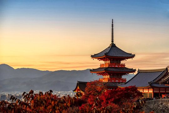 Kyoto Cultural Sites + Uji Day Trip