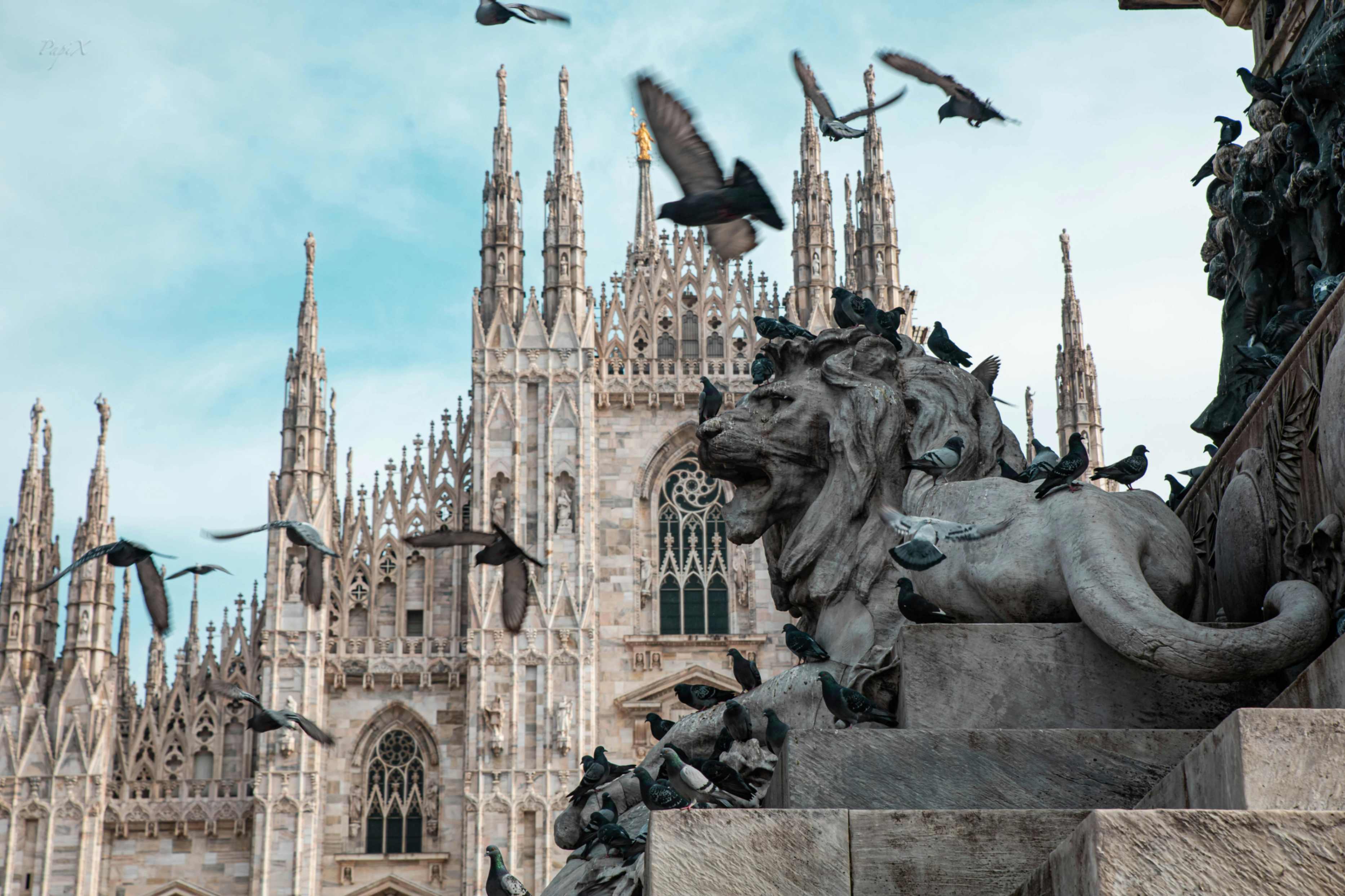 Marvelous Milan