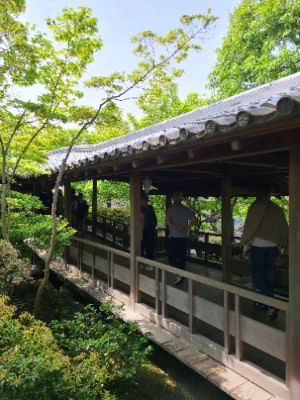 Koko-en Garden is a serene oasis that beautifully showcases traditional Japanese landscaping. With its charming ponds, blooming flowers, and rustic tea houses, each visit offers a moment of peace. Wander through its meticulously manicured grounds and feel the harmony of nature enveloping you as you escape the city's bustle.