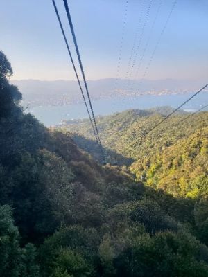 The Miyajima Ropeway is a must-visit for breathtaking panoramic views of the iconic Itsukushima Shrine and surrounding landscapes. As you ascend, you'll witness the beauty of Mount Misen and the Seto Inland Sea, making it a perfect spot for photography enthusiasts and nature lovers alike. Don't miss this unforgettable journey!
