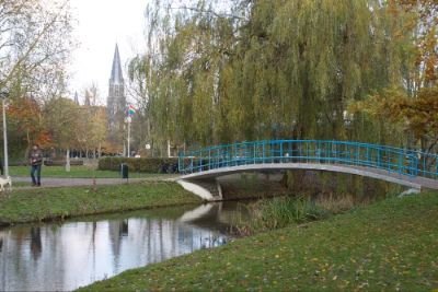Vondelpark is Amsterdam's largest city park, an oasis of greenery amidst urban life. With beautiful walking paths, picnic spots, and vibrant flower gardens, it's the perfect place to unwind. Take a stroll, rent a bike, or enjoy outdoor performances in the summer. Ideal for capturing the essence of Dutch leisure.