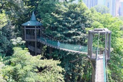 KL Forest Eco Park is a hidden gem in the bustling Kuala Lumpur. It's a vast green space offering a unique escape into nature right in the city. With its canopy walk and hiking trails, it's perfect for nature lovers looking for a tranquil retreat. Take a stroll among the trees and enjoy the views!