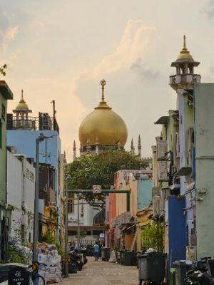 Kampong Glam is a lively blend of history and modernity, showcasing Singapore's rich Malay and Arab heritage. Wander the colorful streets lined with unique boutiques, cafes, and the stunning Sultan Mosque. It's a photographer's dream, filled with vibrant murals and intricate architecture, perfect for an immersive cultural experience.