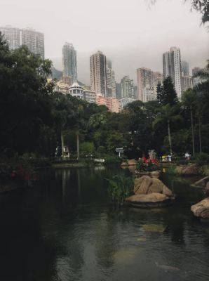 Hong Kong Park is a beautifully landscaped oasis right in the heart of the city. As you wander through its lush gardens and serene water features, you’ll forget you’re surrounded by the urban jungle. With charming paths, a stunning conservatory, and a chance to observe exotic birds, it’s a perfect break from the city's pace.