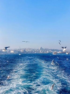 Embarking on a Bosphorus Cruise is a must in Istanbul! As you glide along the strait, you'll be treated to breathtaking views of iconic structures like the Dolmabahçe Palace and the majestic bridges connecting continents. The gentle waves and salty breeze add to the charm, making this an unforgettable way to witness Istanbul's beauty from the water.