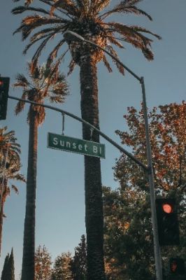 Sunset Boulevard is a legendary stretch in Los Angeles brimming with history and excitement. Walk along this famous street and explore its unique music venues, trendy shops, and diverse dining options. Don't miss the stunning sunset views that have inspired countless artists. It's a must-visit for anyone wanting to experience the essence of L.A.