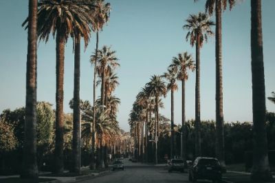 Beverly Hills is the epitome of luxury and glamour. Stroll down Rodeo Drive, where designer boutiques and exclusive shops abound. Keep an eye out for celebrities enjoying the high-end lifestyle in this iconic neighborhood. It's a perfect spot for upscale dining and enjoying the quintessential California vibe.