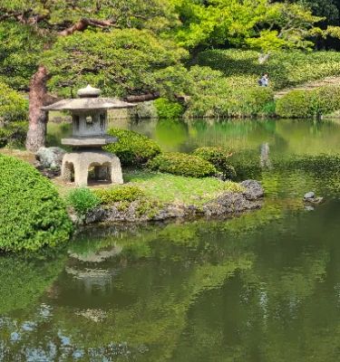 Shinjuku Gyoen National Garden is one of Tokyo's largest and most beautiful parks, blending Japanese, English, and French landscaping styles. Originally an imperial garden, it opened to the public after World War II. The park is renowned for its seasonal beauty, especially during cherry blossom season in spring and vibrant foliage in autumn. Its tranquil pathways, picturesque ponds, and lush lawns make it a favorite retreat for locals and tourists alike.