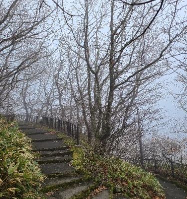 If you're in Hakodate, Mount Hakodate is a must-visit. The views from the summit, especially at night, are simply unforgettable. You can take a ropeway to the top, where you'll experience a picturesque panorama of the city and the bay. Pack your camera for amazing sunset pictures!