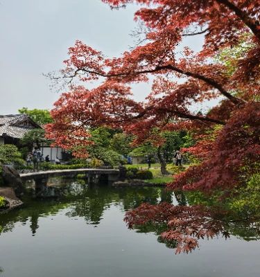 Koko-en Garden is a breathtaking traditional Japanese garden that offers a perfect escape from the bustling city. With its picturesque landscapes, koi ponds, and meticulously arranged seasonal flowers, this serene environment invites you to take a leisurely stroll. Each corner reveals a unique perspective, making it a must-visit for garden lovers and photographers alike.