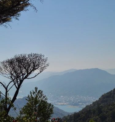 You absolutely can't miss the Mount Misen Observatory if you’re in the area! The hike up offers stunning views of both the inland sea and the sacred island of Miyajima. Once at the top, the observatory provides an unforgettable perspective, especially at sunset—perfect for photography enthusiasts!