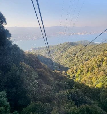 The Miyajima Ropeway offers a stunning aerial journey over the lush landscapes of Miyajima Island. As you ascend, golden panoramic views of the iconic floating torii gate and surrounding mountains unfold, making it a perfect experience for photography enthusiasts. It's a must-do for nature lovers and provides a unique perspective of this UNESCO World Heritage site.