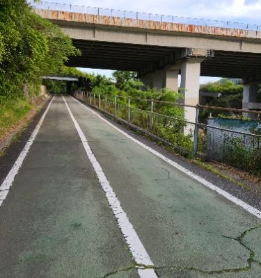 The Innoshima Bridge is not just a vital connection between islands but also offers breathtaking scenic views of the Seto Inland Sea. Walking or biking across provides an exhilarating experience amidst nature's beauty, and the surrounding area boasts fascinating historical sites. Enjoy the unique charm of Onomichi while visiting this impressive engineering marvel.