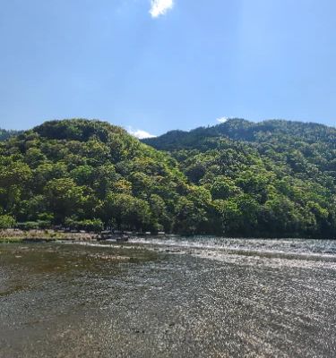 Iconic spot with mountain views and seasonal beauty. Great for photos and strolling, especially during cherry blossom or fall foliage.